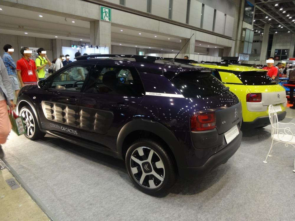 DSC00378 - コピー.JPG